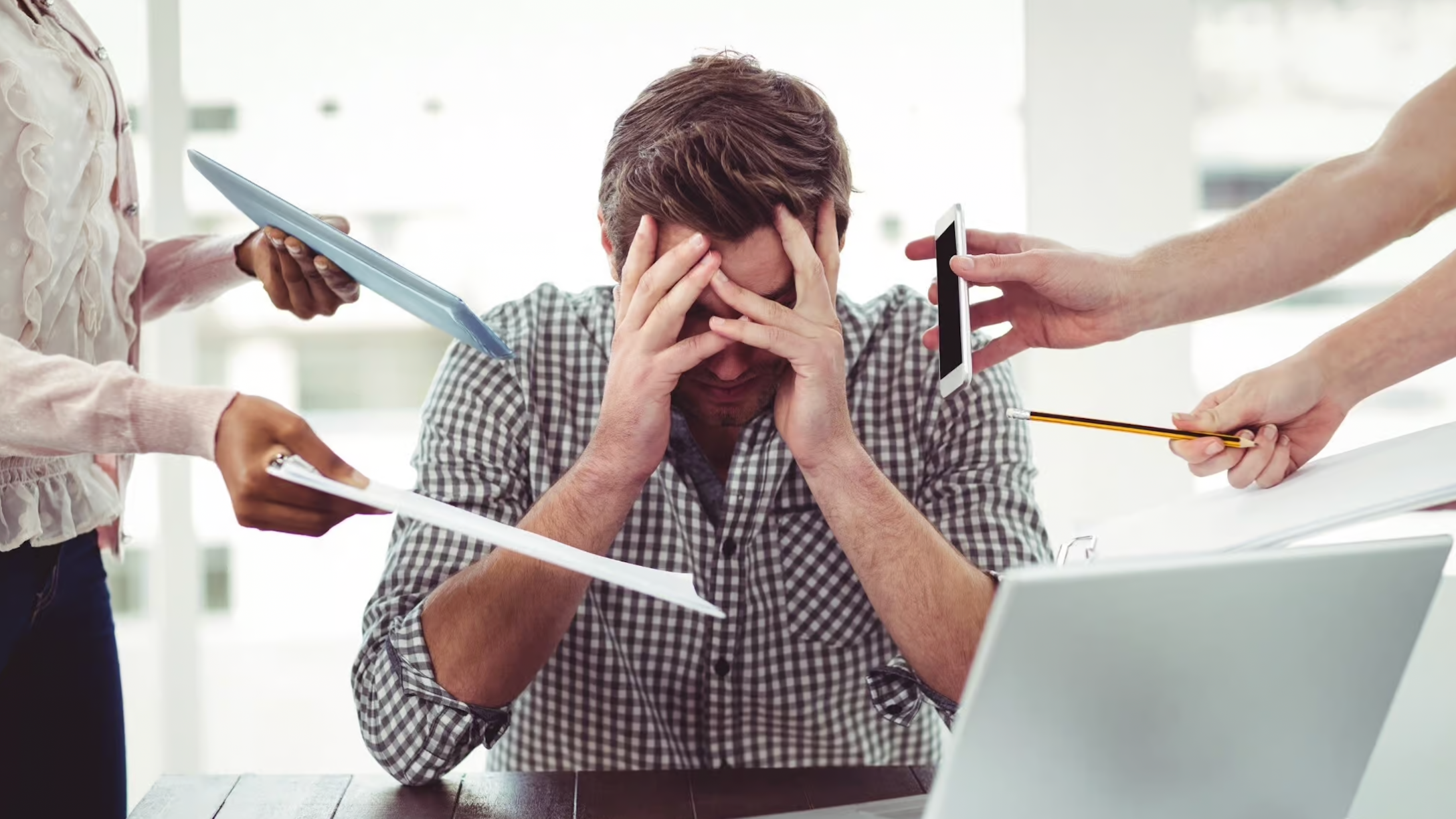 7 alimentos que que bajan el cortisol y reducen el estrés