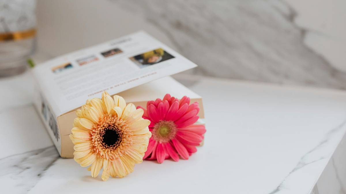 Libros que evocan a la primavera