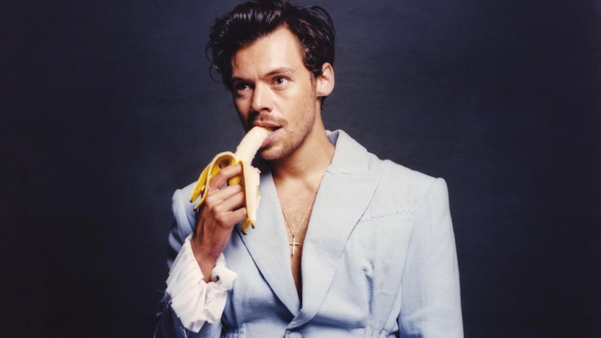 Así es Pleasing Yourself: los juguetes sexuales de Harry Styles