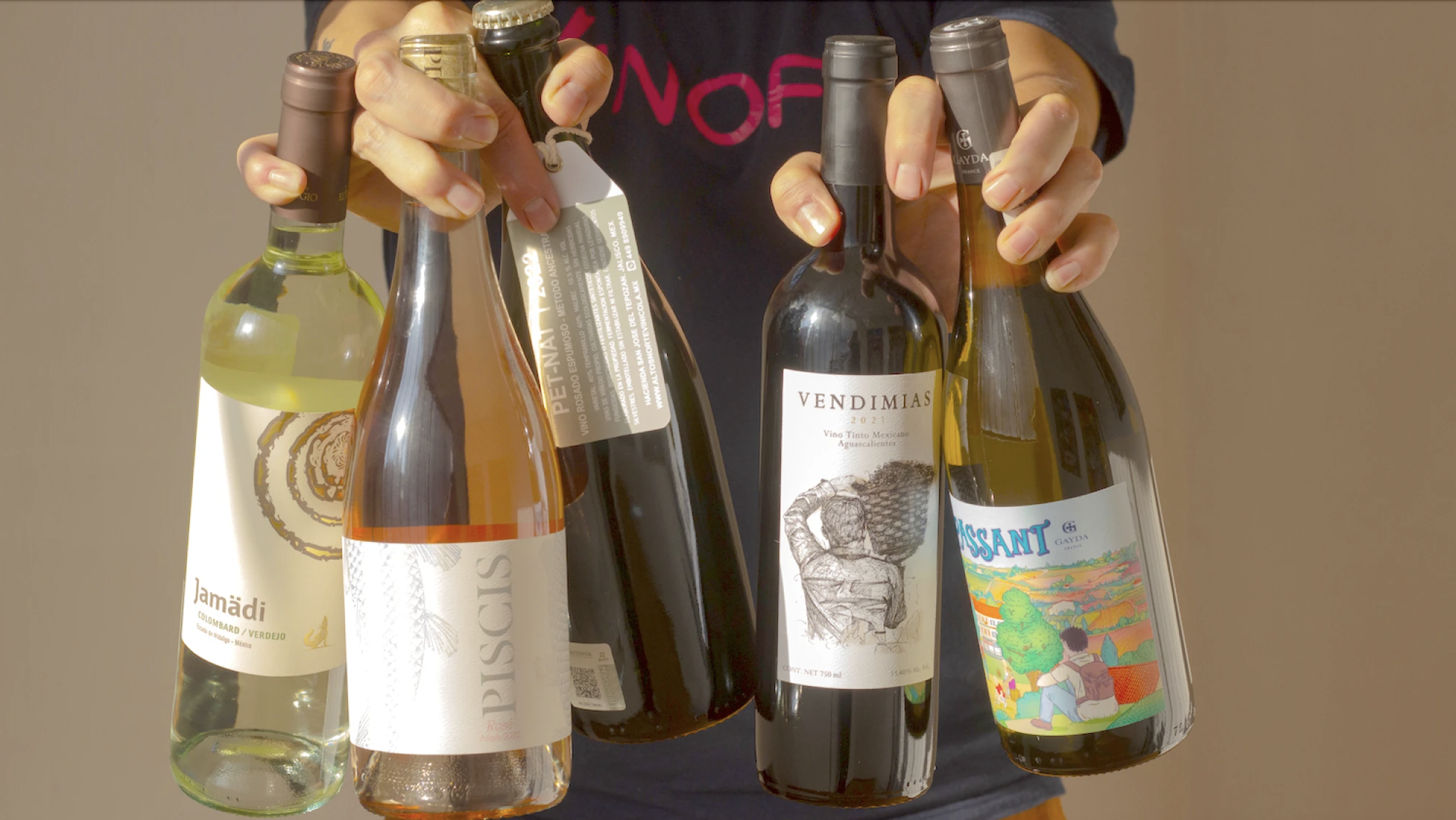 Vinofy: la app para descubrir vinos