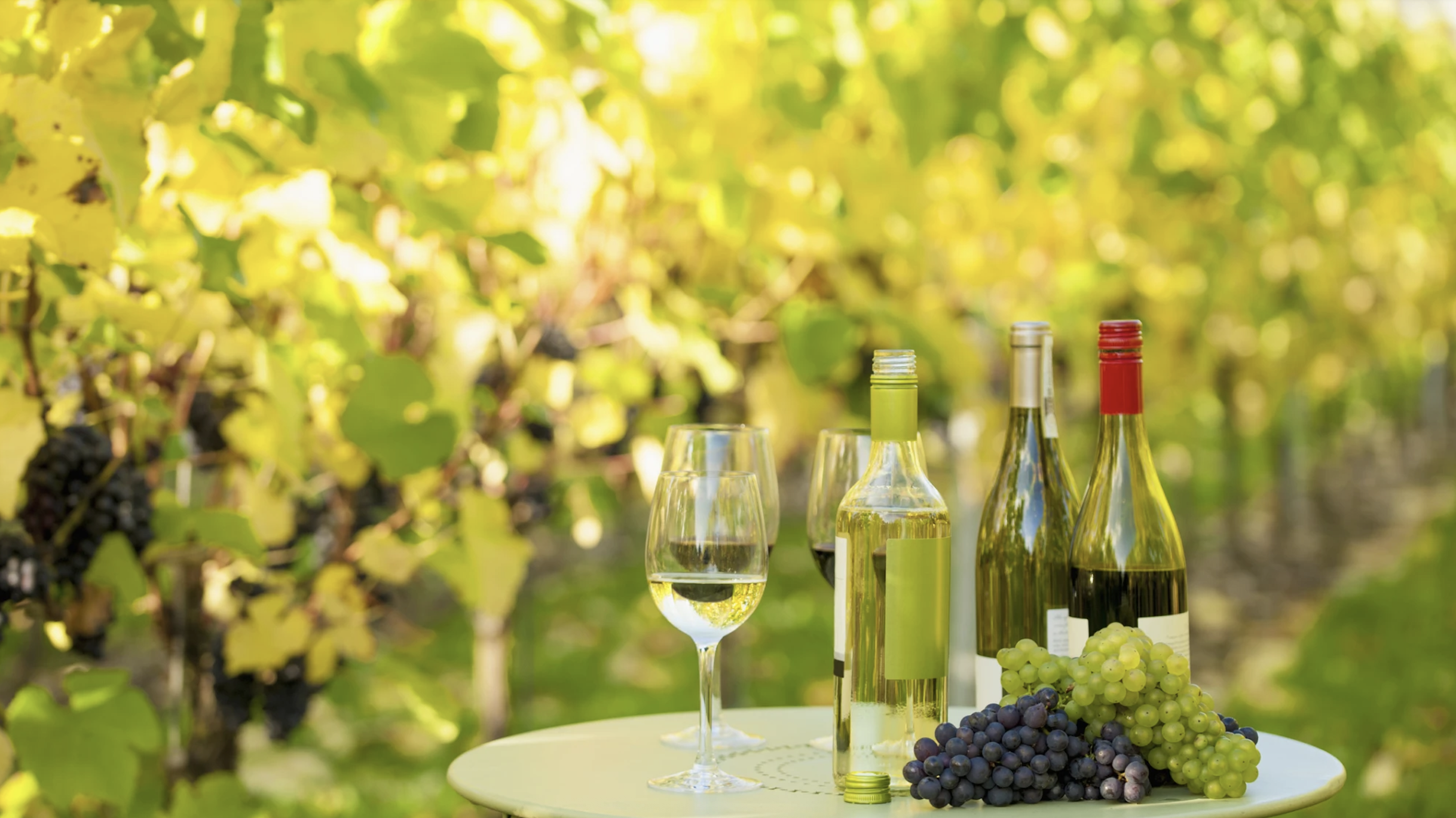 cuantos-kilos-de-uva-se-necesitan-para-hacer-un-litro-de-vino-la-respuesta-te-sorprendera-2