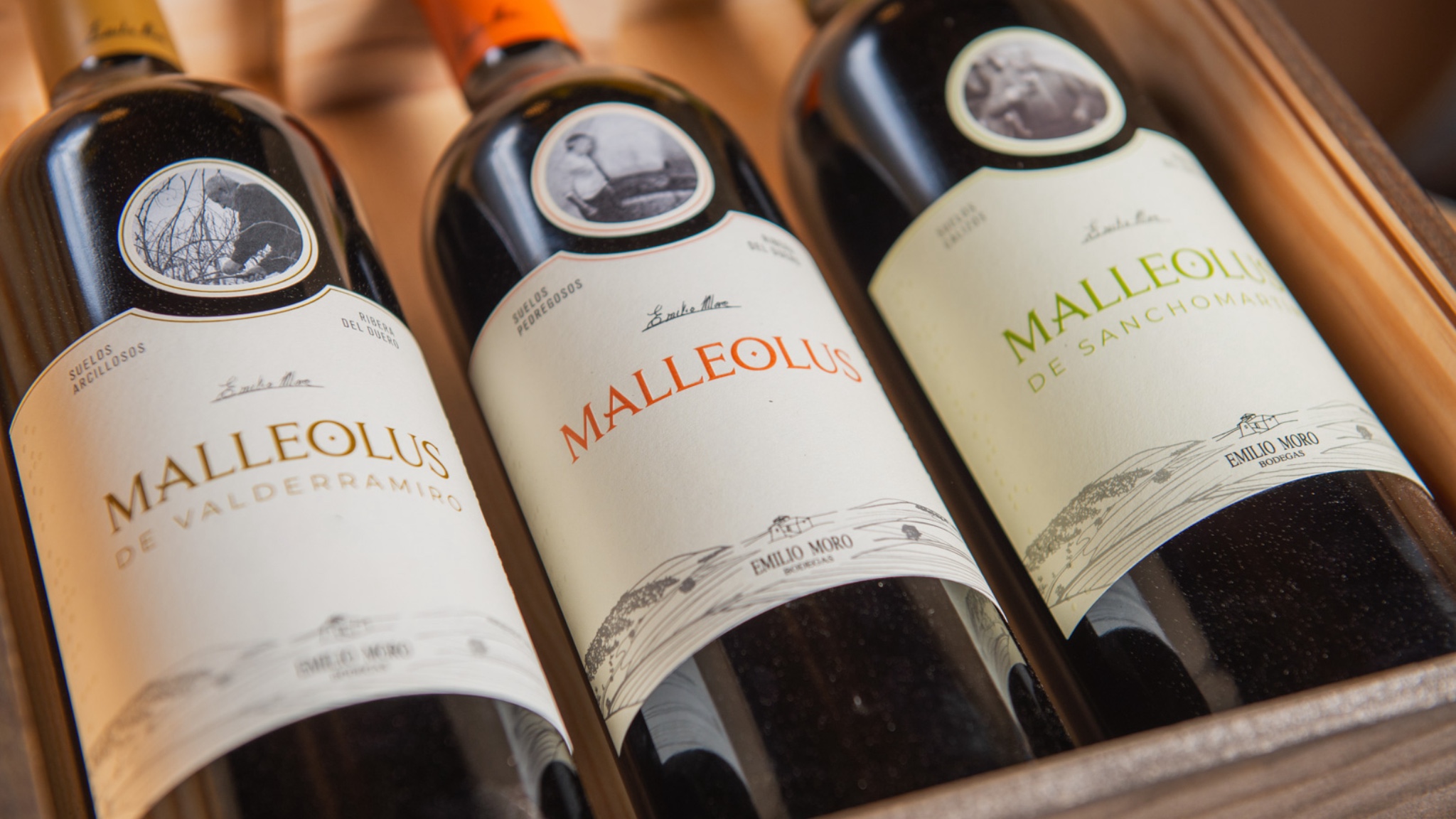 Celebra la Navidad con vino: una guía de regalos con Bodegas Emilio Moro