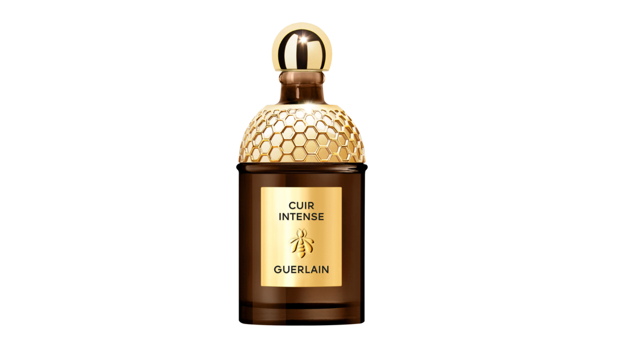 los-mejores-perfumes-intensos-con-cuero-y-tabaco-que-duran-todo-el-dia-4