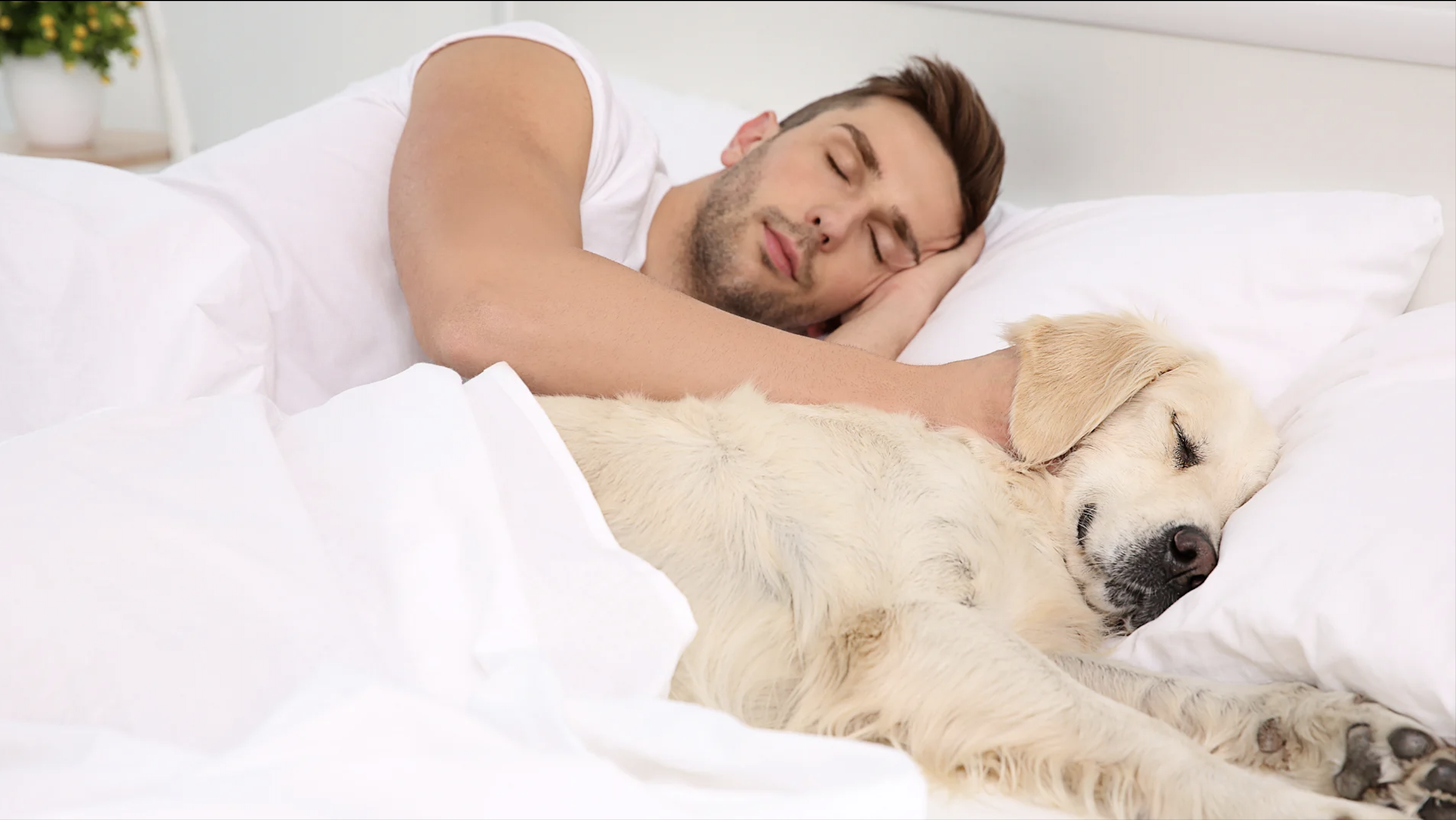 Dormir con tu mascota podría mejorar tu salud emocional, según la ciencia